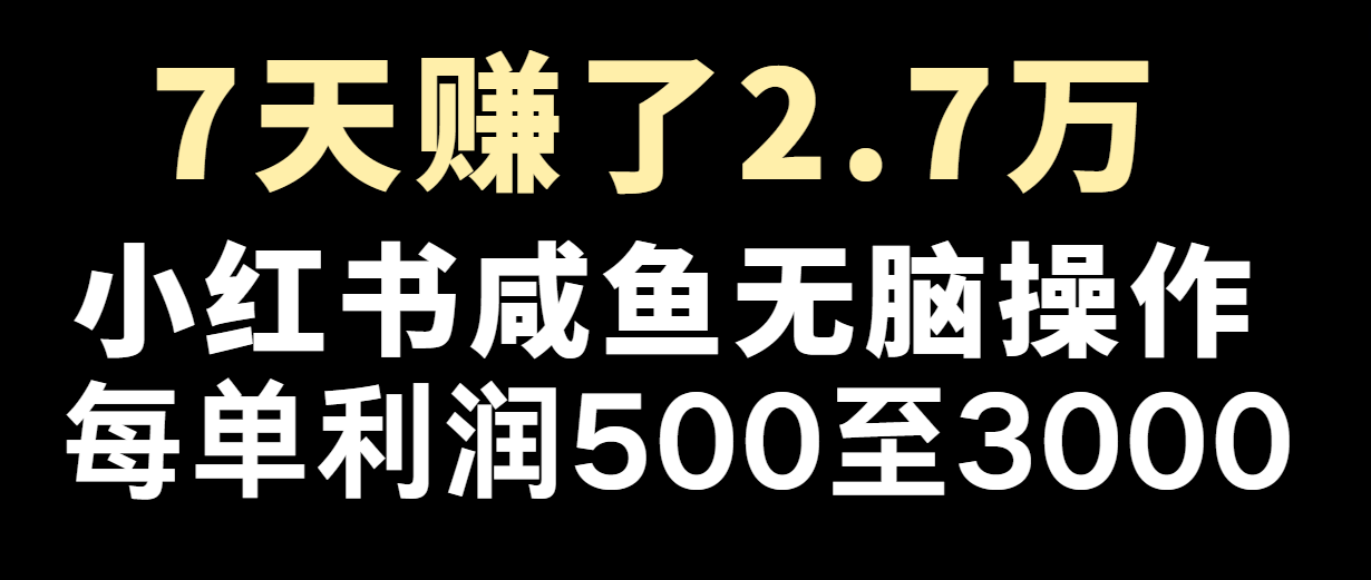 FY4160期-七天赚了2.7万！每单利润最少500+，轻松月入5万+小白有手就行