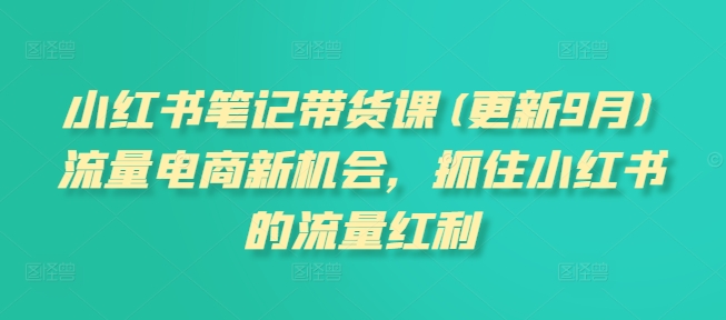小红书笔记带货课【11月更新】流量电商新机会，抓住小红书的流量红利