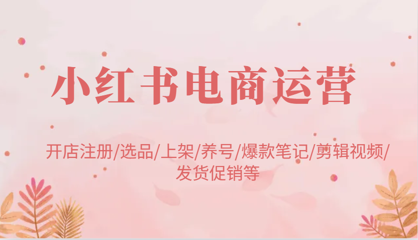 （14165期）小红书电商运营：开店注册/选品/上架/养号/爆款笔记/剪辑视频/发货促销等